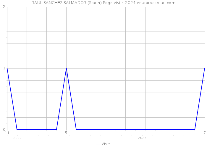 RAUL SANCHEZ SALMADOR (Spain) Page visits 2024 