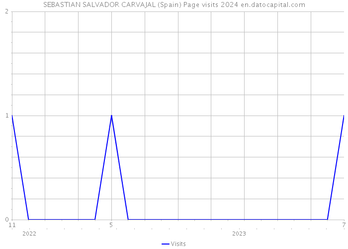 SEBASTIAN SALVADOR CARVAJAL (Spain) Page visits 2024 