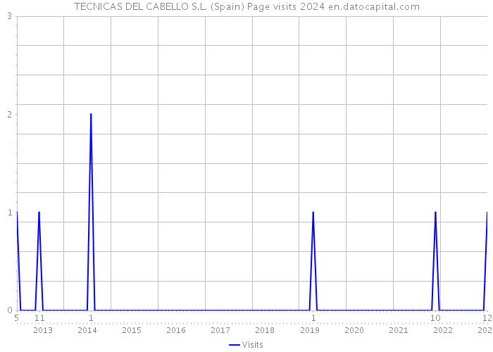 TECNICAS DEL CABELLO S.L. (Spain) Page visits 2024 