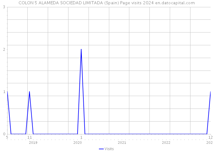 COLON 5 ALAMEDA SOCIEDAD LIMITADA (Spain) Page visits 2024 