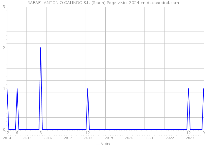 RAFAEL ANTONIO GALINDO S.L. (Spain) Page visits 2024 