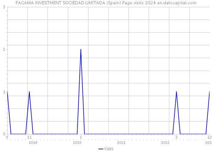 FAGAMA INVESTMENT SOCIEDAD LIMITADA (Spain) Page visits 2024 