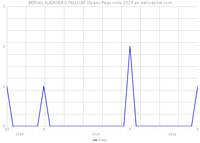 BERNAL ALEJANDRO PELLICER (Spain) Page visits 2024 