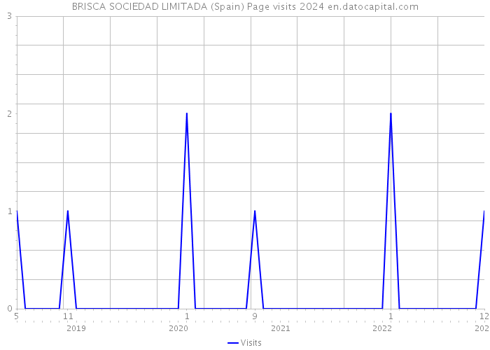BRISCA SOCIEDAD LIMITADA (Spain) Page visits 2024 