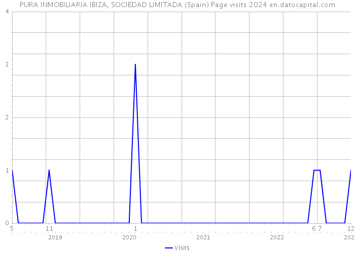 PURA INMOBILIARIA IBIZA, SOCIEDAD LIMITADA (Spain) Page visits 2024 