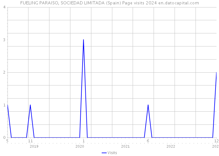 FUELING PARAISO, SOCIEDAD LIMITADA (Spain) Page visits 2024 