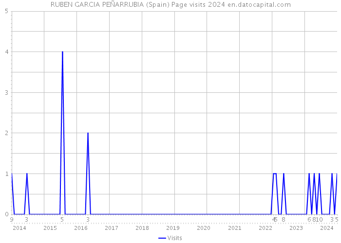 RUBEN GARCIA PEÑARRUBIA (Spain) Page visits 2024 