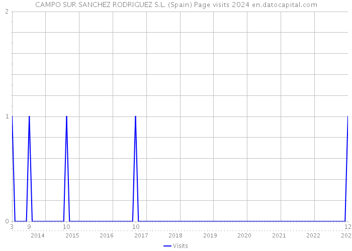 CAMPO SUR SANCHEZ RODRIGUEZ S.L. (Spain) Page visits 2024 