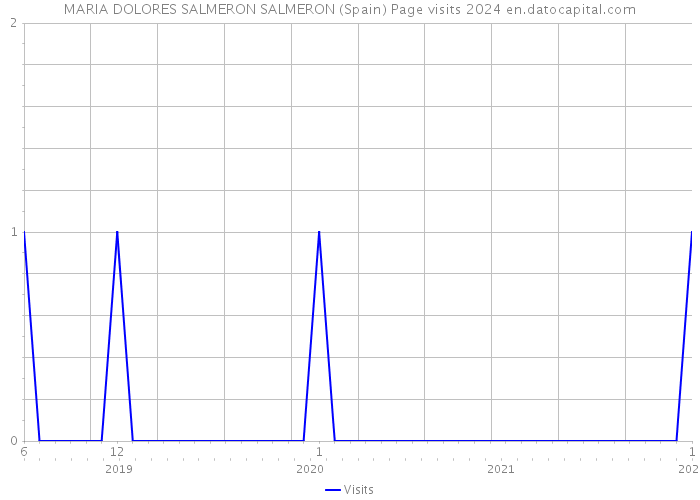 MARIA DOLORES SALMERON SALMERON (Spain) Page visits 2024 