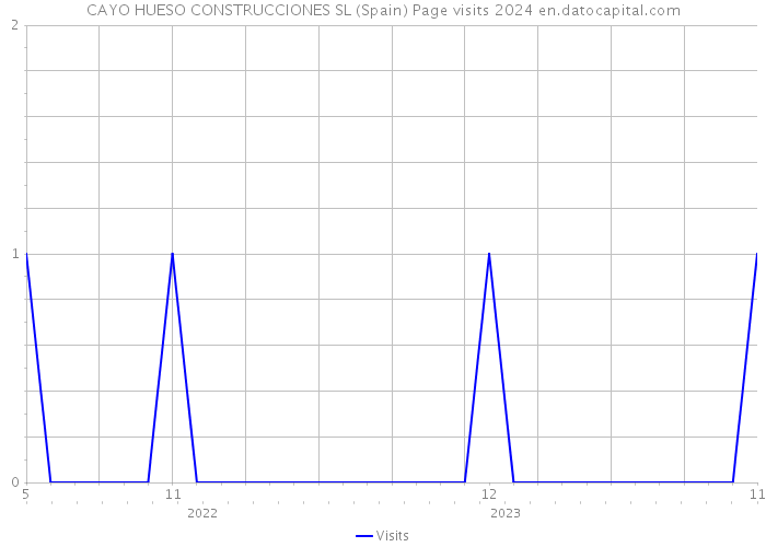 CAYO HUESO CONSTRUCCIONES SL (Spain) Page visits 2024 