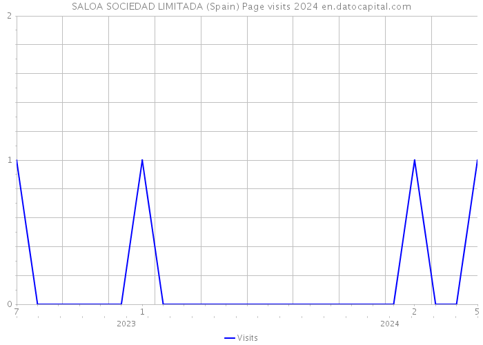SALOA SOCIEDAD LIMITADA (Spain) Page visits 2024 