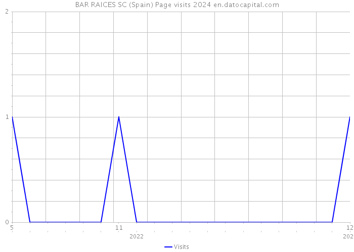 BAR RAICES SC (Spain) Page visits 2024 