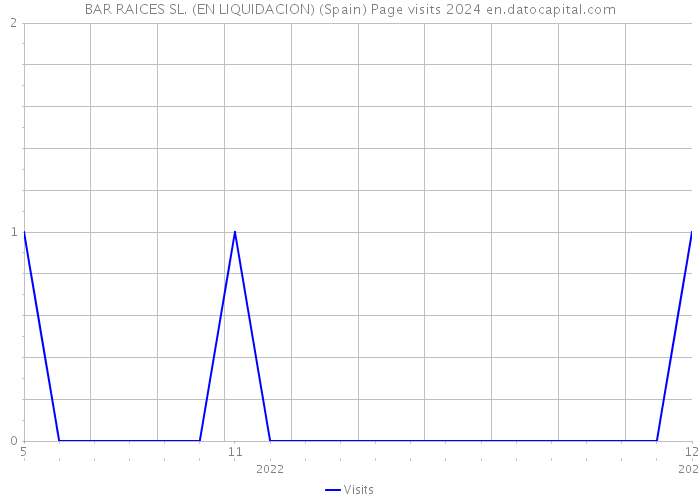 BAR RAICES SL. (EN LIQUIDACION) (Spain) Page visits 2024 