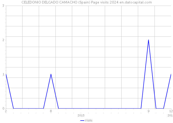 CELEDONIO DELGADO CAMACHO (Spain) Page visits 2024 