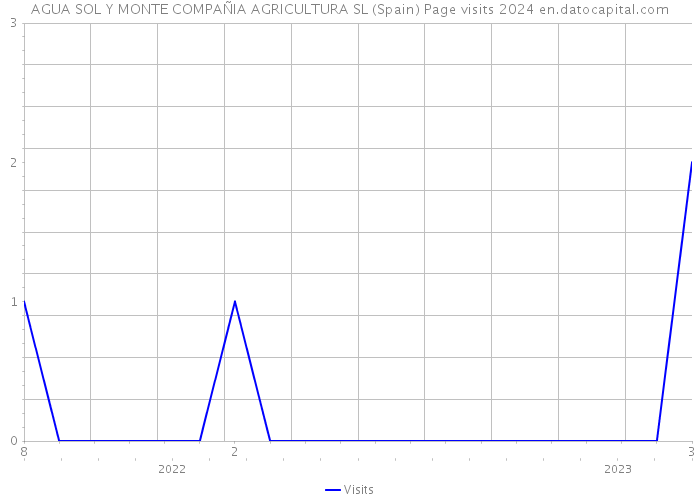 AGUA SOL Y MONTE COMPAÑIA AGRICULTURA SL (Spain) Page visits 2024 