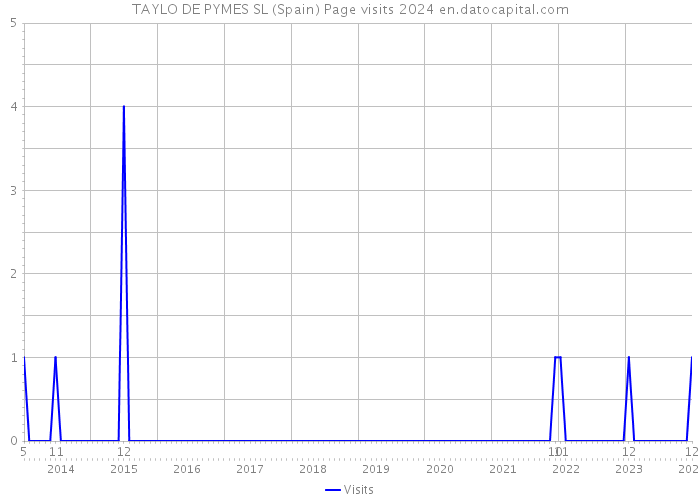 TAYLO DE PYMES SL (Spain) Page visits 2024 
