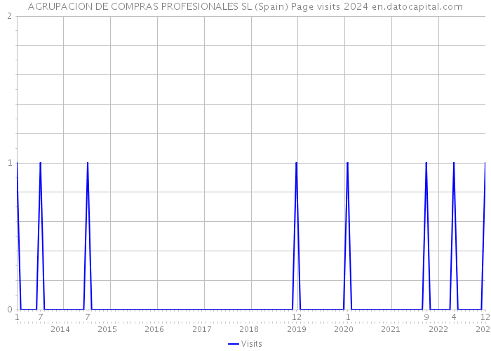 AGRUPACION DE COMPRAS PROFESIONALES SL (Spain) Page visits 2024 