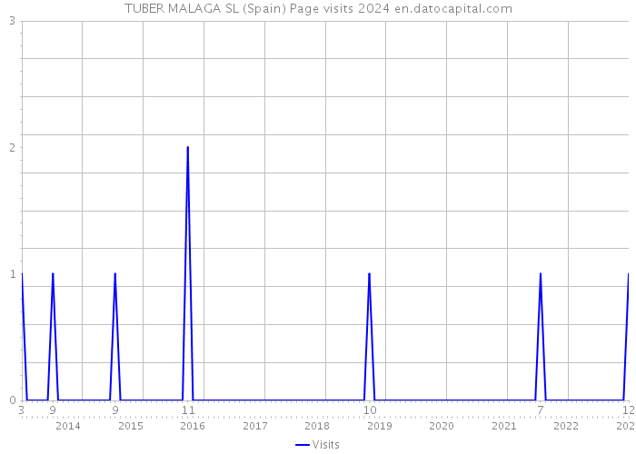 TUBER MALAGA SL (Spain) Page visits 2024 
