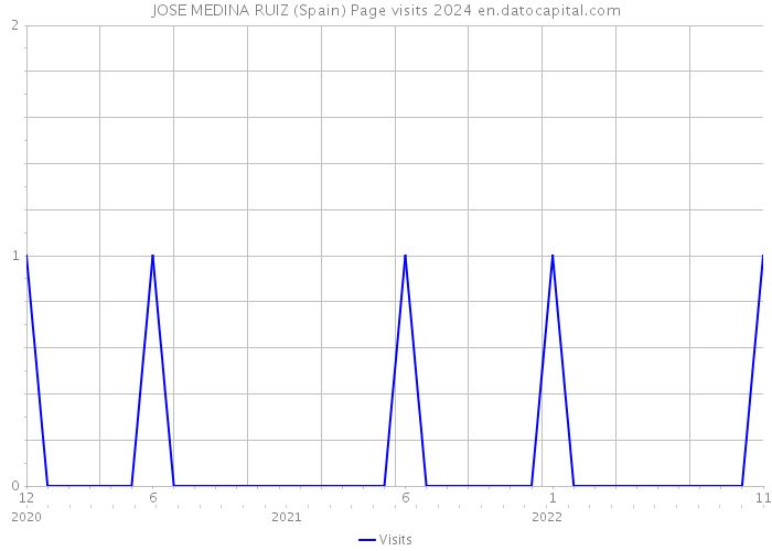 JOSE MEDINA RUIZ (Spain) Page visits 2024 
