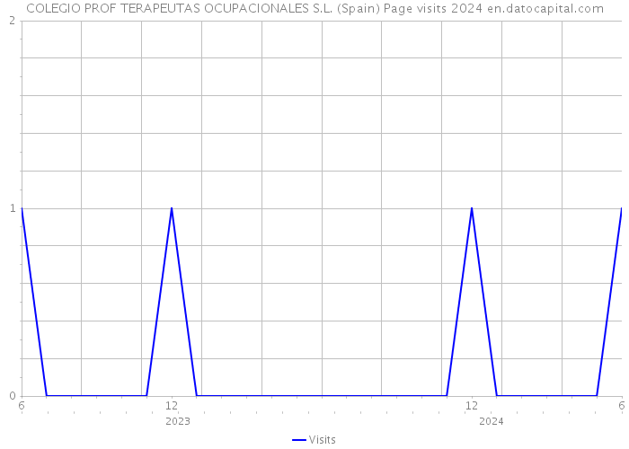 COLEGIO PROF TERAPEUTAS OCUPACIONALES S.L. (Spain) Page visits 2024 