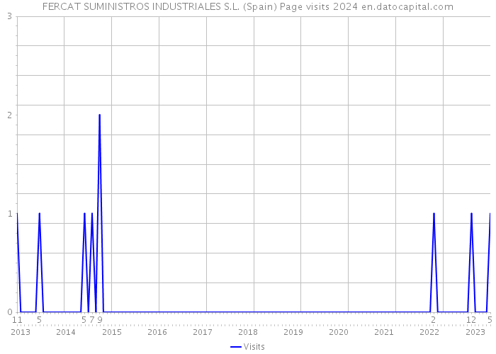 FERCAT SUMINISTROS INDUSTRIALES S.L. (Spain) Page visits 2024 