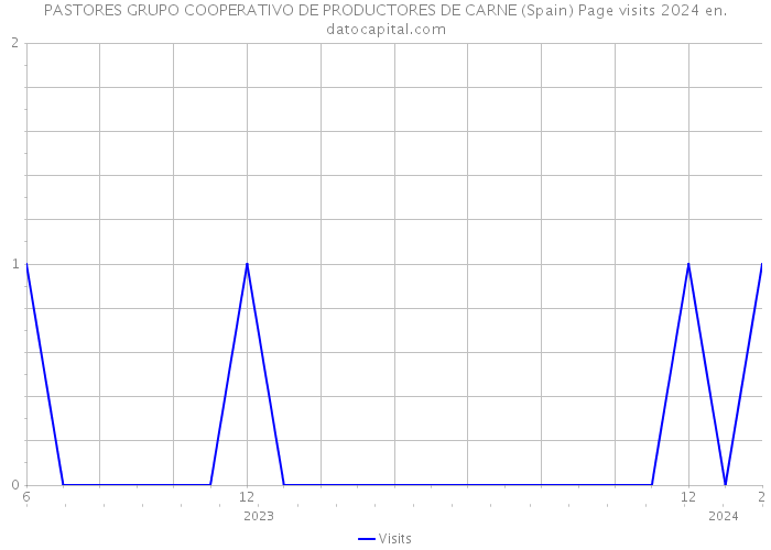 PASTORES GRUPO COOPERATIVO DE PRODUCTORES DE CARNE (Spain) Page visits 2024 