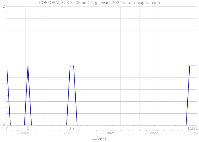 CORPORAL SUR SL (Spain) Page visits 2024 