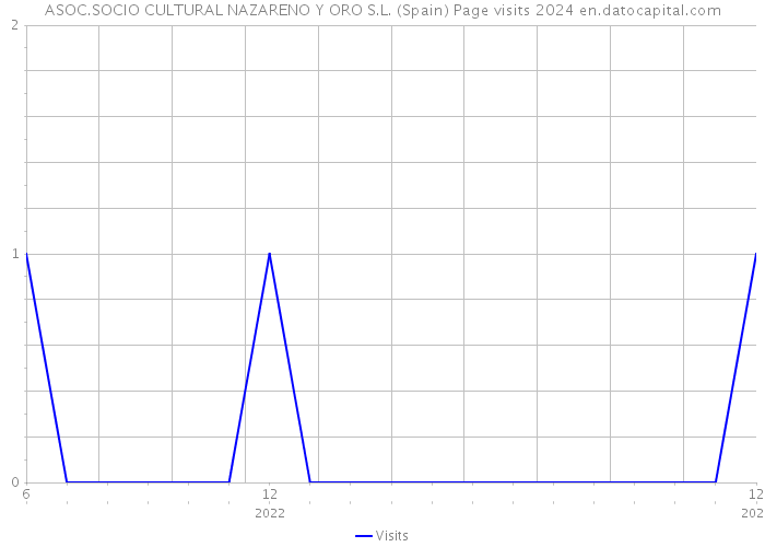 ASOC.SOCIO CULTURAL NAZARENO Y ORO S.L. (Spain) Page visits 2024 