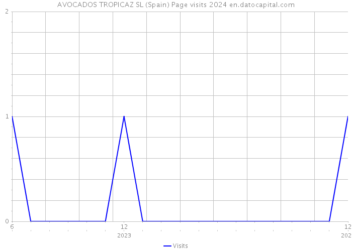 AVOCADOS TROPICAZ SL (Spain) Page visits 2024 