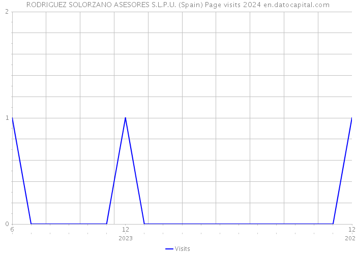 RODRIGUEZ SOLORZANO ASESORES S.L.P.U. (Spain) Page visits 2024 