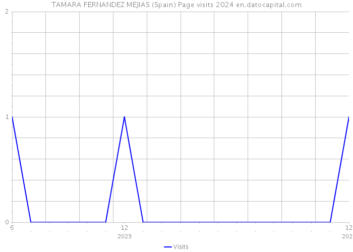 TAMARA FERNANDEZ MEJIAS (Spain) Page visits 2024 
