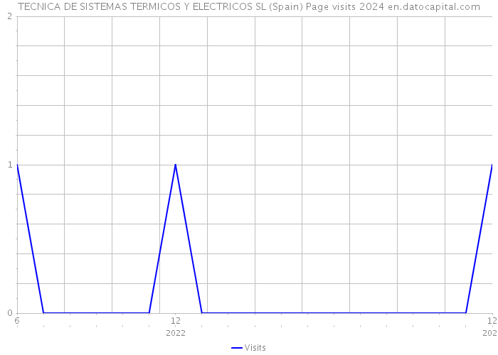 TECNICA DE SISTEMAS TERMICOS Y ELECTRICOS SL (Spain) Page visits 2024 