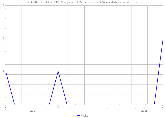 DAVID DEL POZO PEREZ (Spain) Page visits 2024 