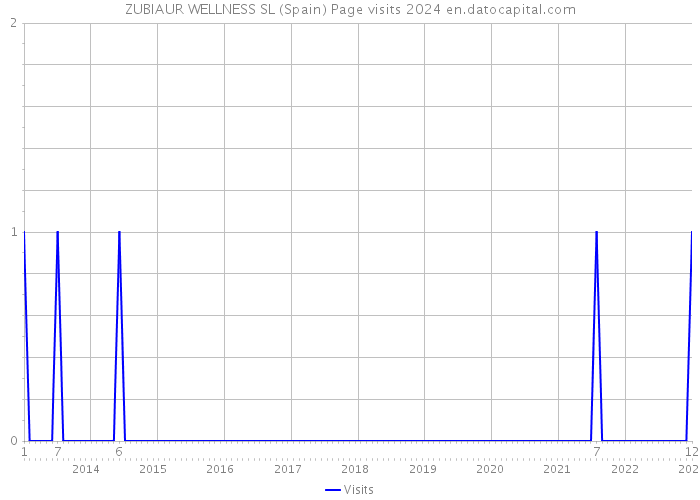 ZUBIAUR WELLNESS SL (Spain) Page visits 2024 
