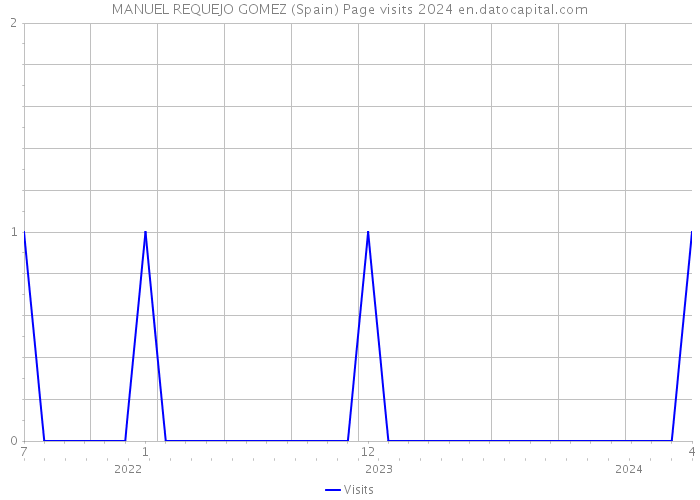 MANUEL REQUEJO GOMEZ (Spain) Page visits 2024 