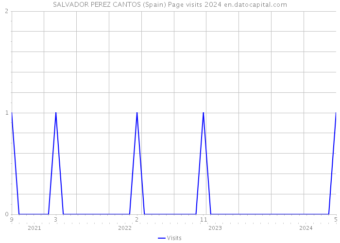 SALVADOR PEREZ CANTOS (Spain) Page visits 2024 