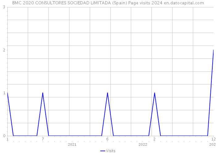 BMC 2020 CONSULTORES SOCIEDAD LIMITADA (Spain) Page visits 2024 