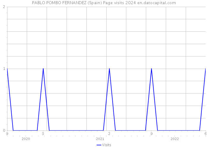 PABLO POMBO FERNANDEZ (Spain) Page visits 2024 