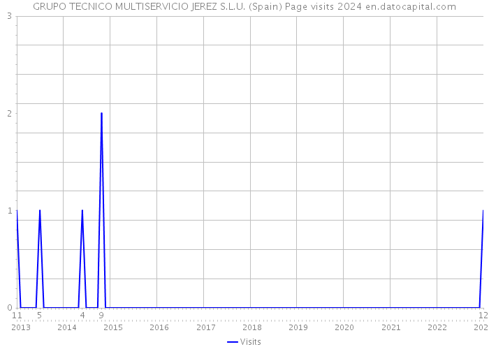GRUPO TECNICO MULTISERVICIO JEREZ S.L.U. (Spain) Page visits 2024 
