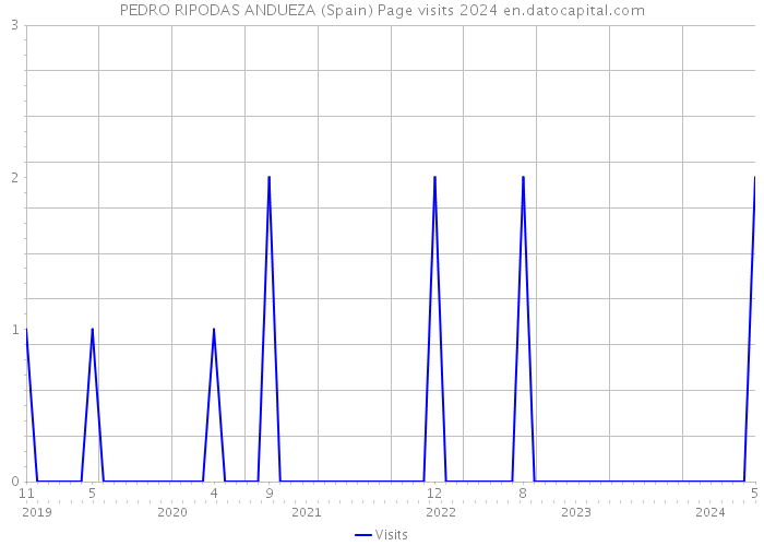 PEDRO RIPODAS ANDUEZA (Spain) Page visits 2024 
