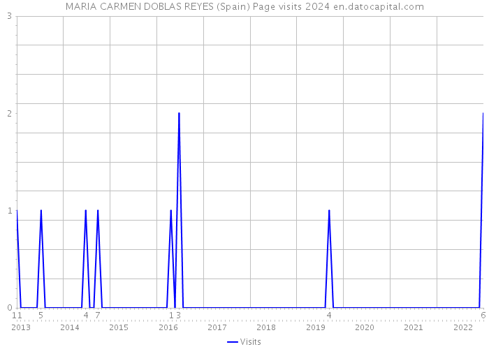 MARIA CARMEN DOBLAS REYES (Spain) Page visits 2024 