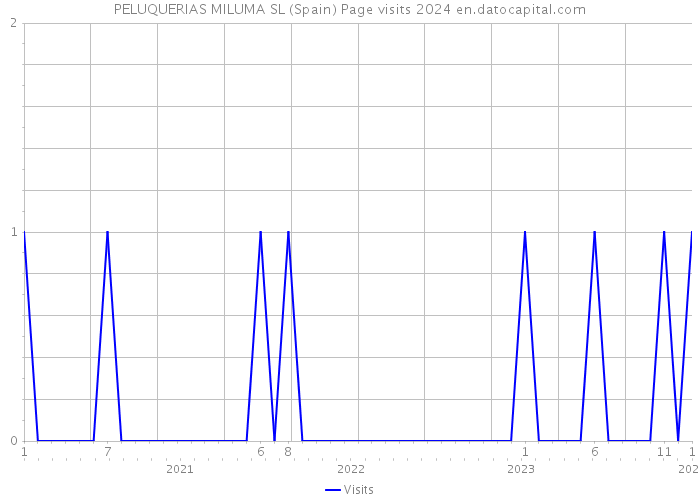 PELUQUERIAS MILUMA SL (Spain) Page visits 2024 