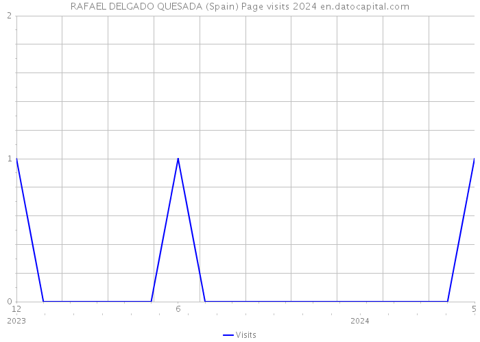 RAFAEL DELGADO QUESADA (Spain) Page visits 2024 