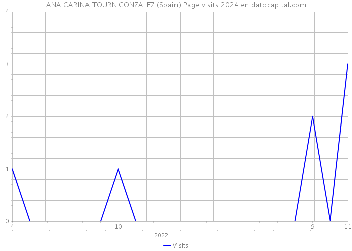 ANA CARINA TOURN GONZALEZ (Spain) Page visits 2024 