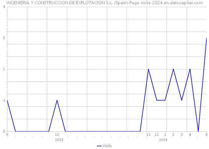 INGENIERIA Y CONSTRUCCION DE EXPLOTACION S.L. (Spain) Page visits 2024 