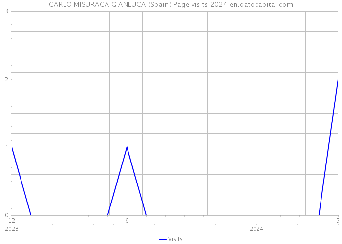 CARLO MISURACA GIANLUCA (Spain) Page visits 2024 