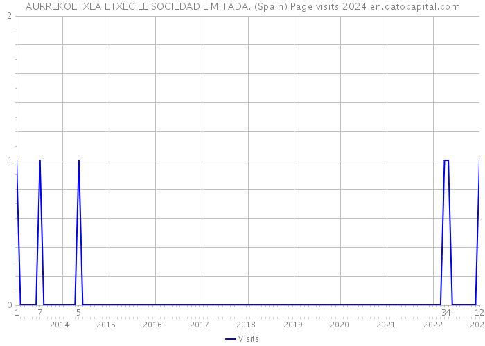 AURREKOETXEA ETXEGILE SOCIEDAD LIMITADA. (Spain) Page visits 2024 