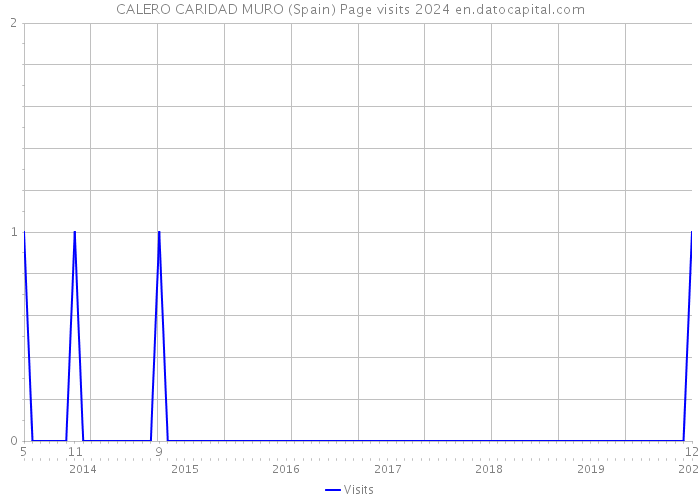 CALERO CARIDAD MURO (Spain) Page visits 2024 