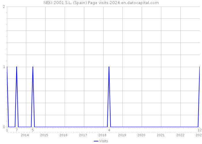 NEKI 2001 S.L. (Spain) Page visits 2024 