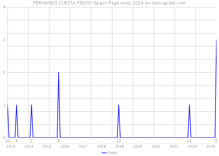 FERNANDO CUESTA FEIJOO (Spain) Page visits 2024 